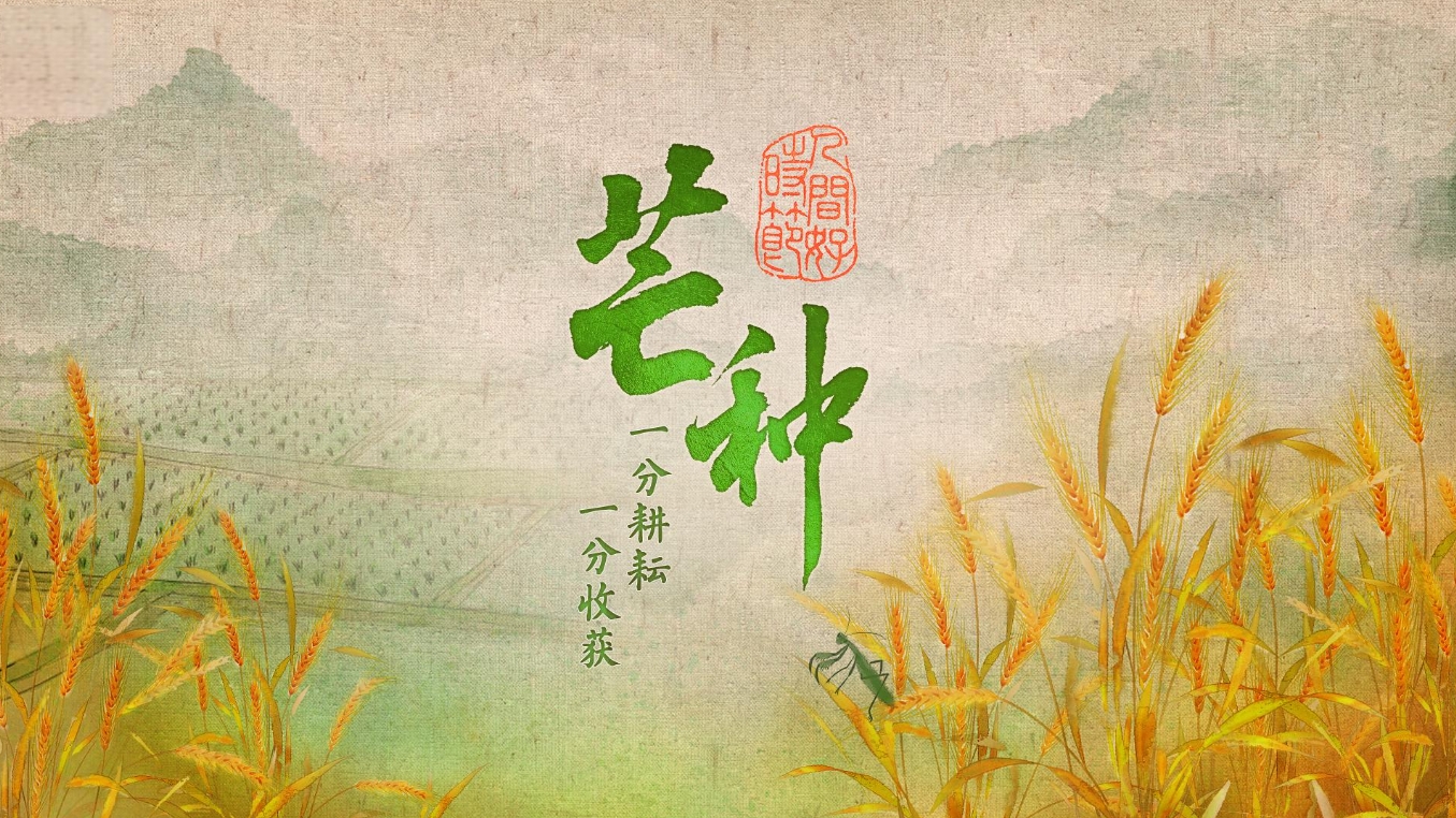 專題丨二十四節(jié)氣·芒種