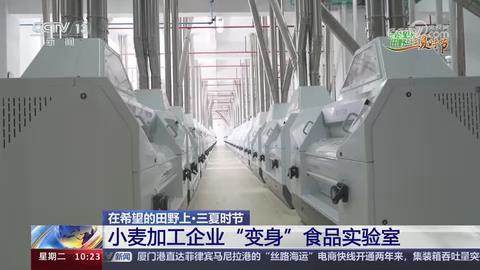 【央视关注河南驻马店】小麦加工企业“变身”食品实验室