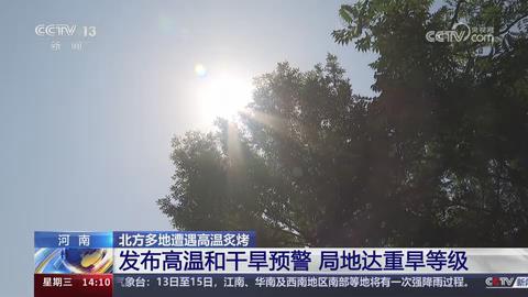 【央视关注河南】发布高温和干旱预警 局地达重旱等级