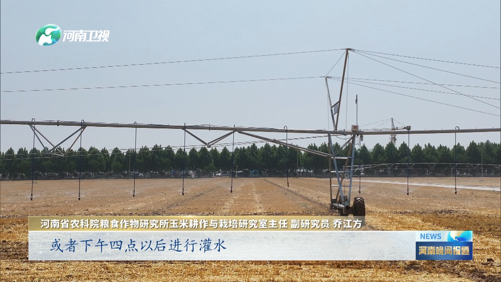 科学灌溉  全力做好田间管理丨战高温