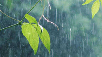 雨来了！14日河南大部将迎阵雨，部分县市有强对流天气