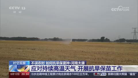 【央视关注河南太康】应对持续高温天气 开展抗旱保苗工作