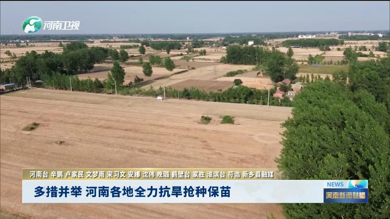 多措并举 河南各地全力抗旱抢种保苗
