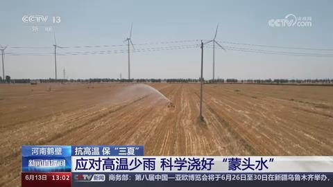 【央视关注河南鹤壁】应对高温少雨 科学浇好“蒙头水”