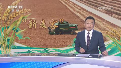 【央视焦点访谈15分钟专题聚焦河南滑县】追“丰”新麦客