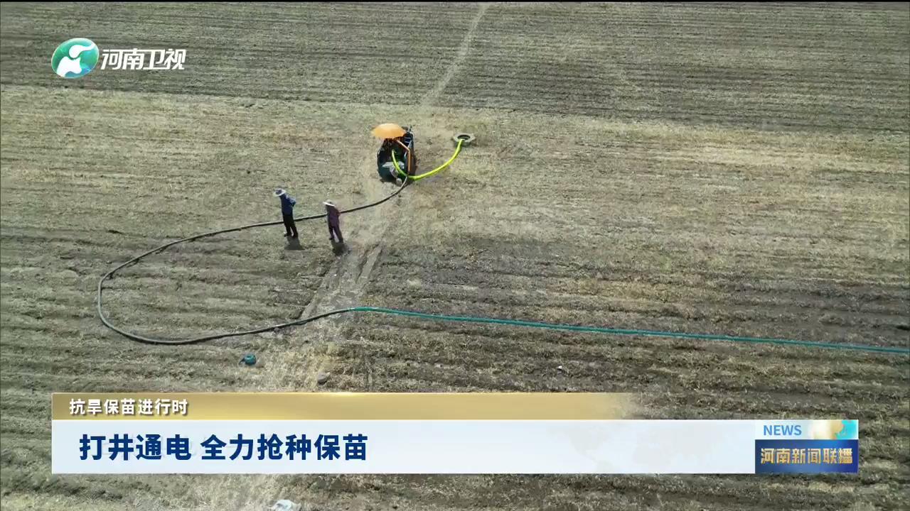 打井通电 全力抢种保苗 | 抗旱保苗进行时