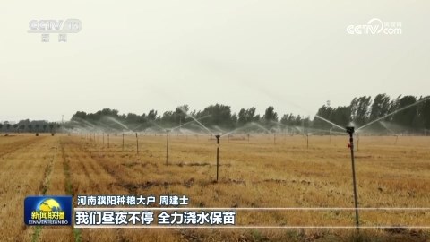 央媒看河南 | 关注河南抗旱保苗、高温坚守等内容