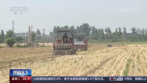 【央视关注河南新郑】降雨缓解农田旱情 为作物生长打下基础