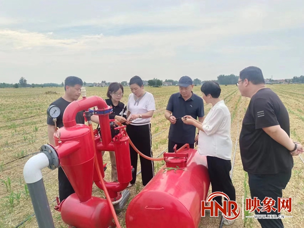 农业农村部玉米单产提升工程专家指导组到商丘调研指导玉米单产提升工作