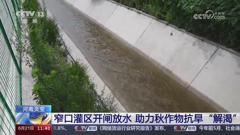 【央视关注河南灵宝】窄口灌区开闸放水 助力秋作物抗旱“解渴”