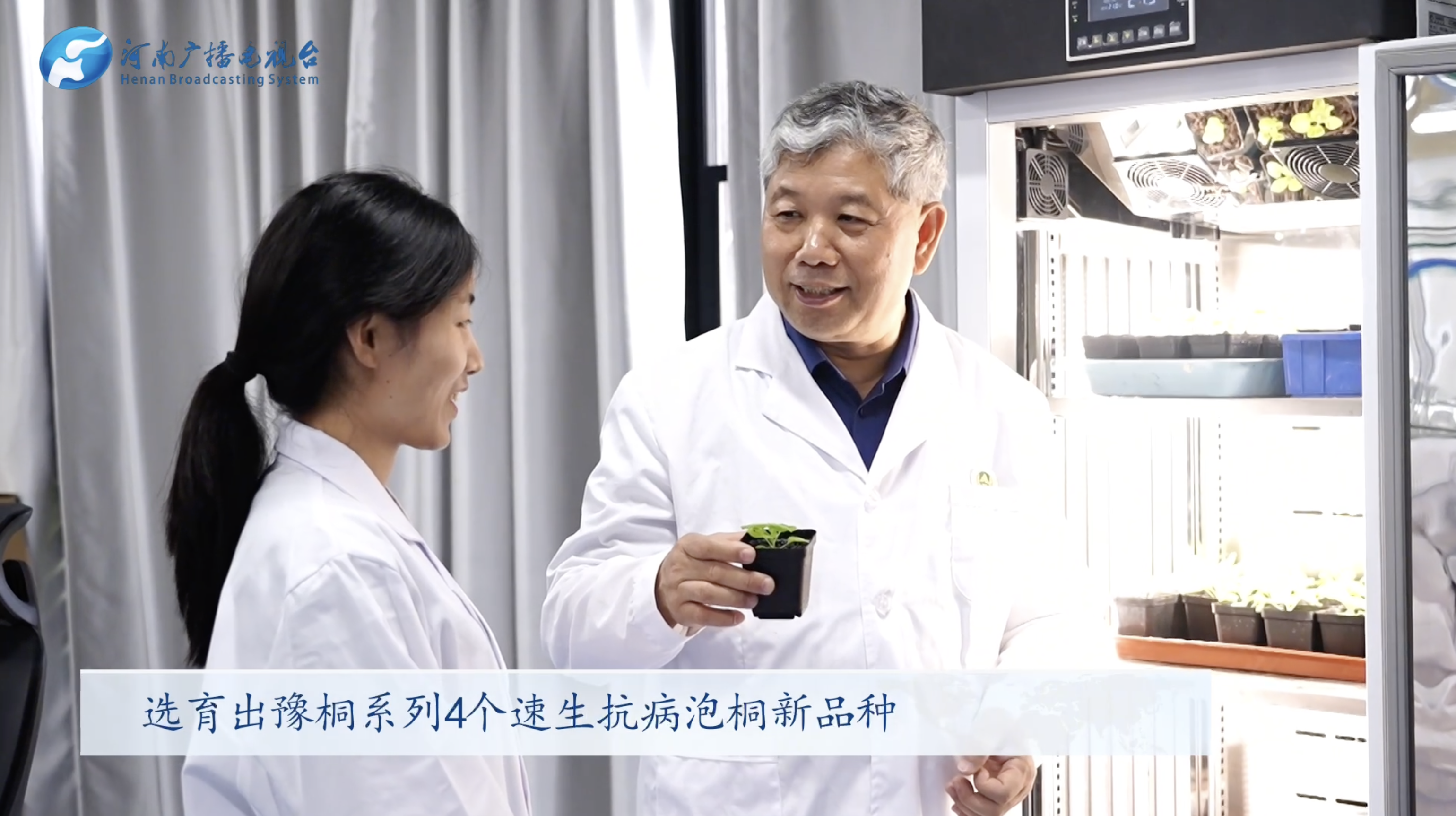 范国强：为泡桐“编程” 让树按指定程序生长丨这才是顶流