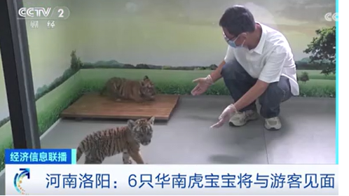 央媒看河南 | 关注河南殷墟遗址考古等工作