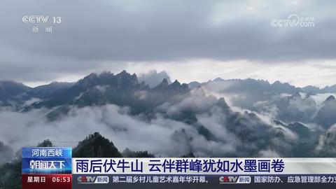 【央视关注河南西峡】雨后伏牛山 云伴群峰犹如水墨画卷