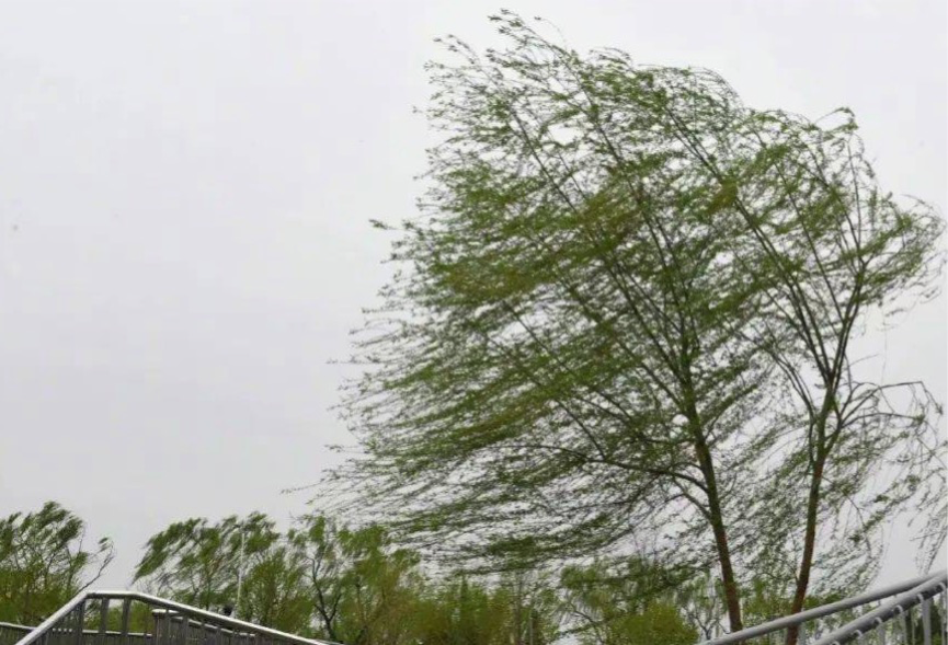 可能会有龙卷风！河南省气象台发布暴雨蓝色预警