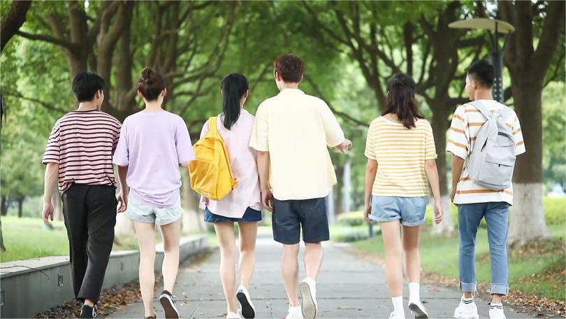 开录！2024年河南高考录取结果这样查询