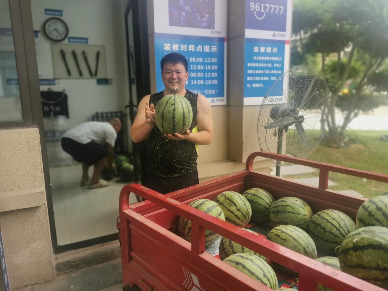 “瓜”分快乐！焦作马村区待王街道与居民共赴一场甜蜜之约……