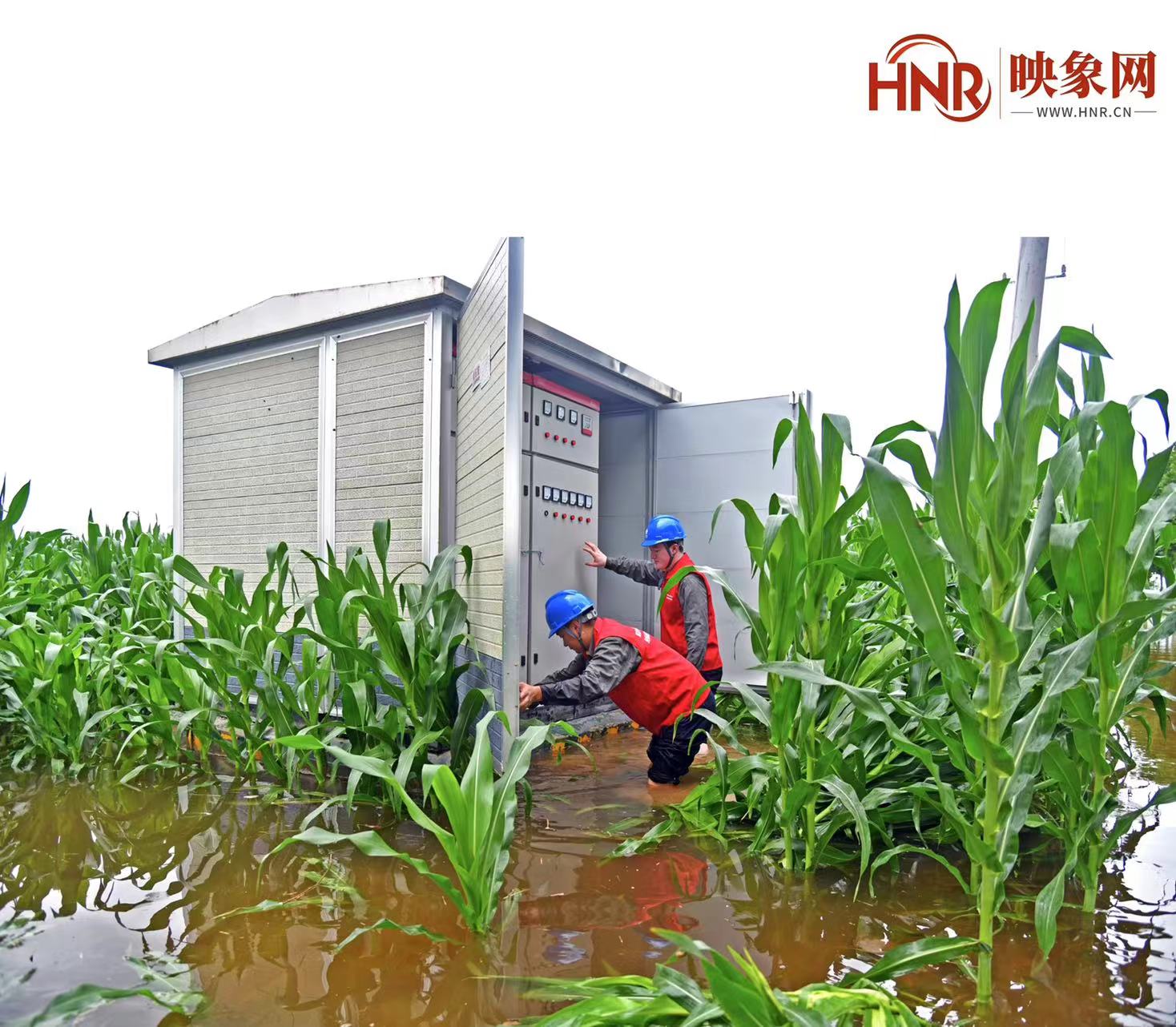 国网西平县供电公司：雨后特巡  筑牢防汛安全网