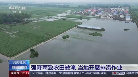 【央视关注河南社旗】强降雨致农田被淹 当地开展排涝作业