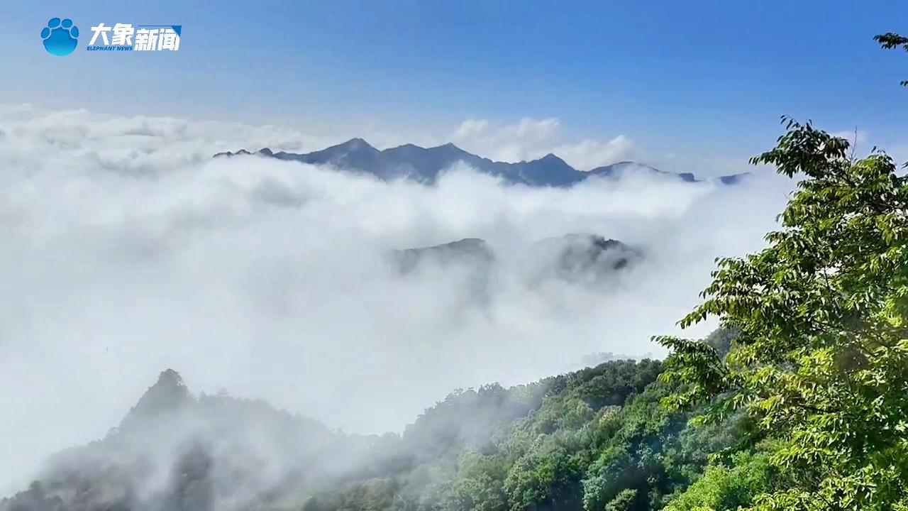 河南灵宝：汉山云海似仙境