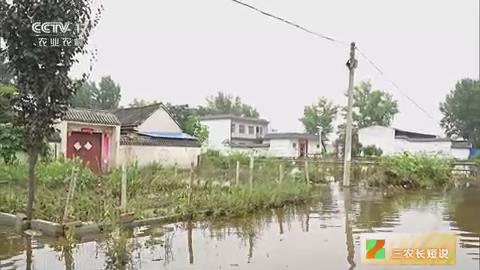 【央视关注河南社旗】降雨停止 查看房屋受损和农田积水情况