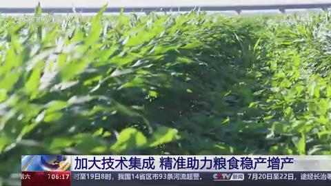 【央视关注河南滑县】加大技术集成 精准助力粮食稳产增产