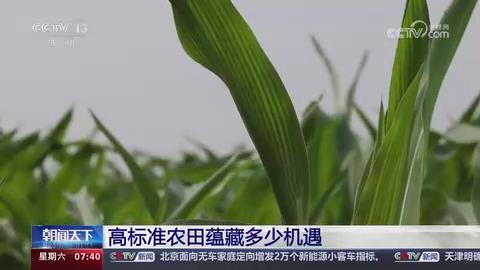 【央视关注河南新乡】高标准农田蕴藏多少机遇