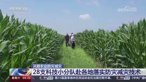 【央视关注河南新乡】落实防灾减灾技术 确保夺取秋粮丰收
