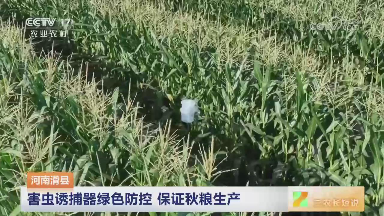 【央视关注河南滑县】害虫诱捕器绿色防控 保证秋粮生产