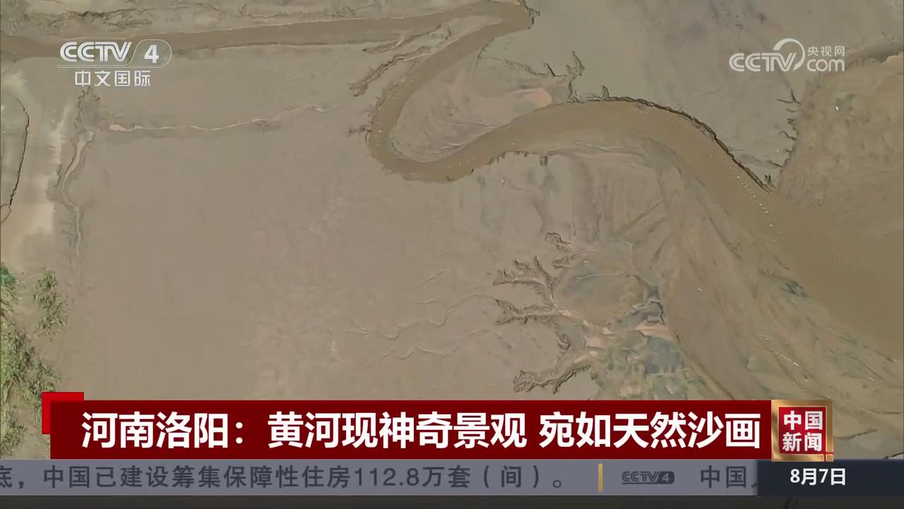 【央视关注河南洛阳】黄河现神奇景观 宛如天然沙画