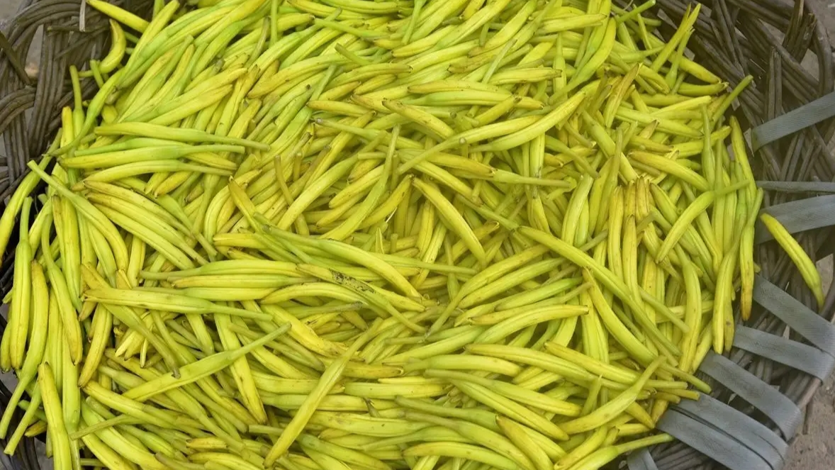 这几类食用前必须焯水的食物，你可能一直都没焯对……