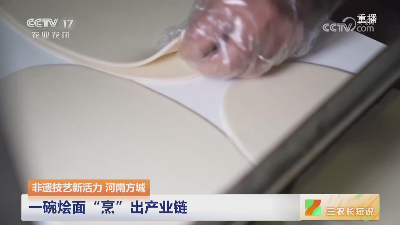 【央视关注河南方城】一碗烩面“烹”出产业链