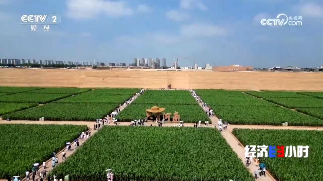 央媒看河南 | 关注河南打造烩面产业链等内容
