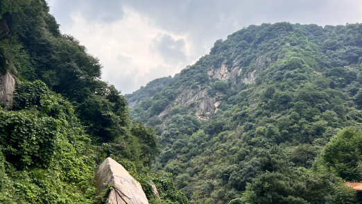 “中原之巅”封金山 生态恢复来“金山”