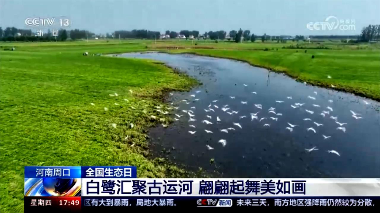 央媒看河南 | 关注河南生态文明建设等内容