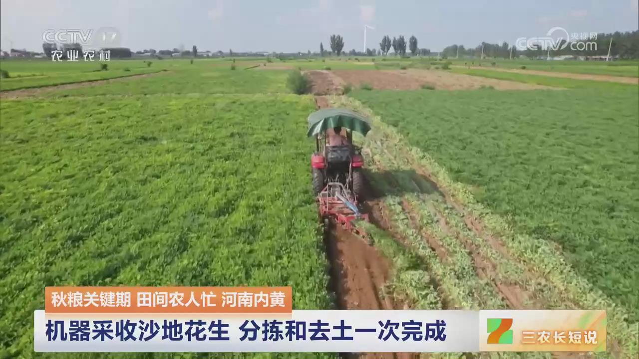 【央视关注河南内黄】机器采收沙地花生 分拣和去土一次完成