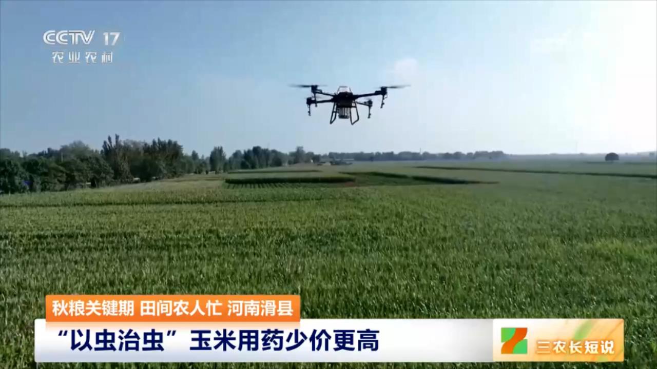 央媒看河南 | 关注河南文创产品、秋粮田管等内容
