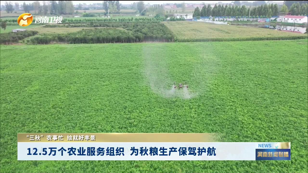 12.5万个农业服务组织  为秋粮生产保驾护航丨“三秋”农事忙 绘就好丰景