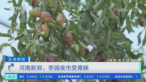 【央视关注河南新郑】枣园夜市受青睐
