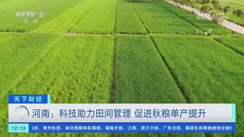 【央视关注河南淮滨】科技助力田间管理 促进秋粮单产提升