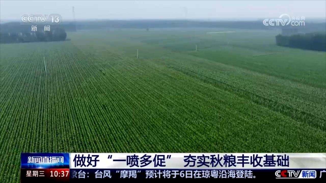 央媒看河南 | 关注河南田间管理等内容