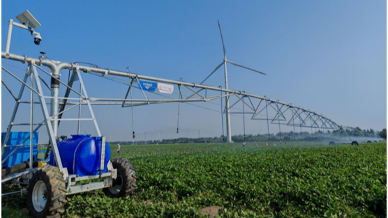 丰收在望，兰考高标准农田来了“5G小帮手”