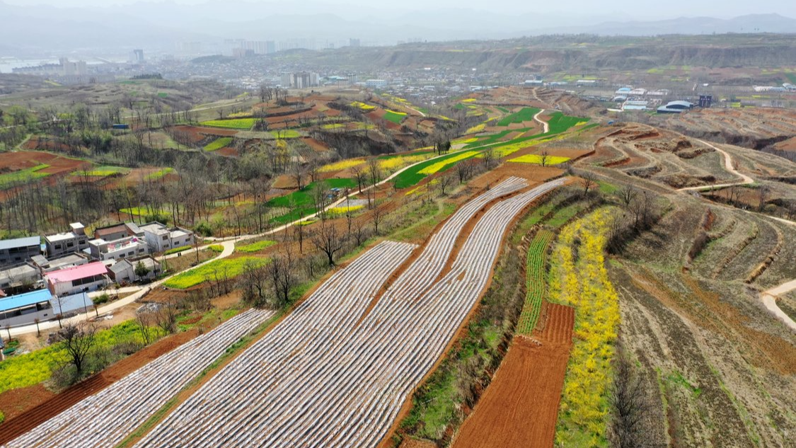 河南：今明两年建设40条生态清洁小流域