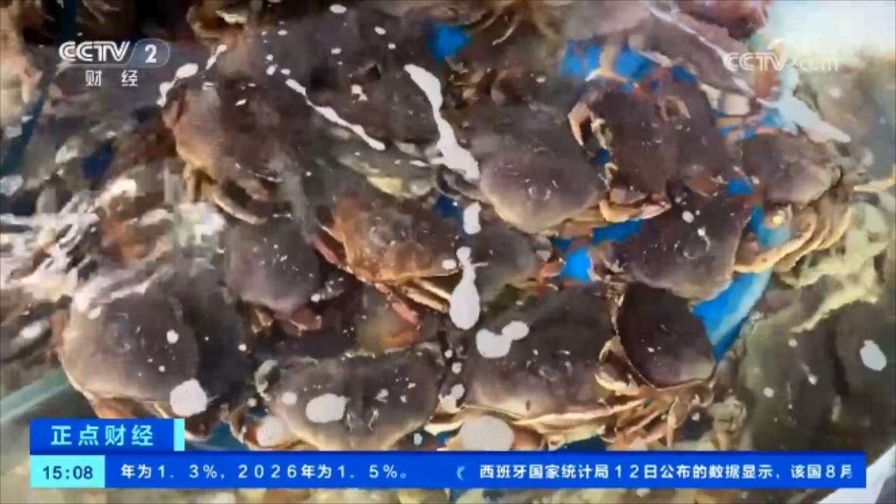 央媒看河南 |关注中秋临近郑州市场的海鲜水产品等