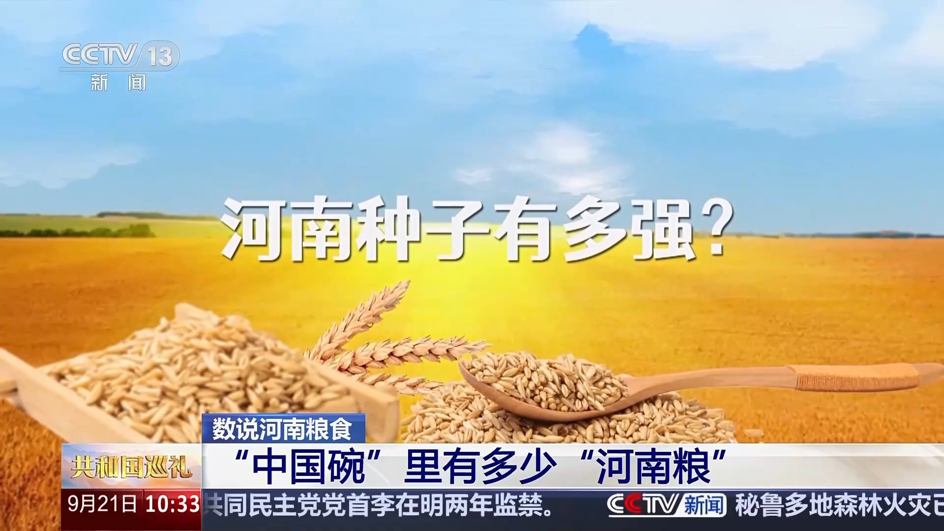 共和国巡礼·河南篇 | “中国碗”里有多少“河南粮”