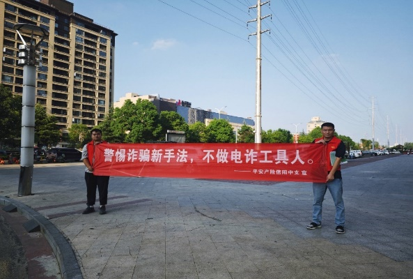 平安产险淮滨支公司开展金融宣教活动