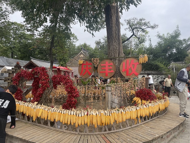 郏县2024年“中国农民丰收节”活动启动