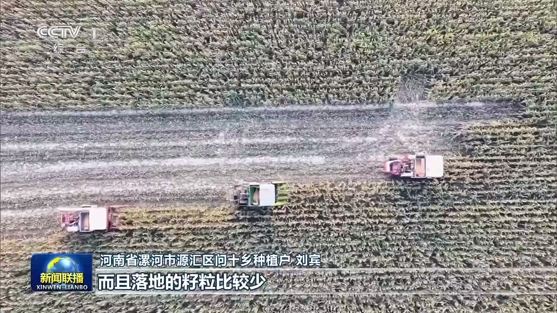央媒看河南 | 关注河南秋粮收获等内容