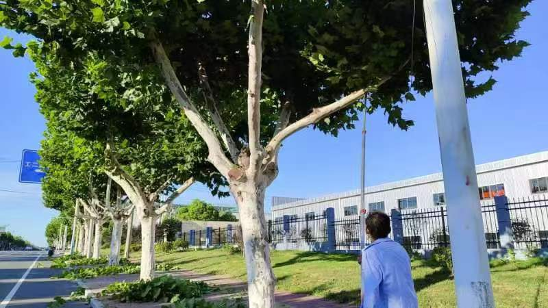 罗山县住建局：为民排忧解难 助力营商环境