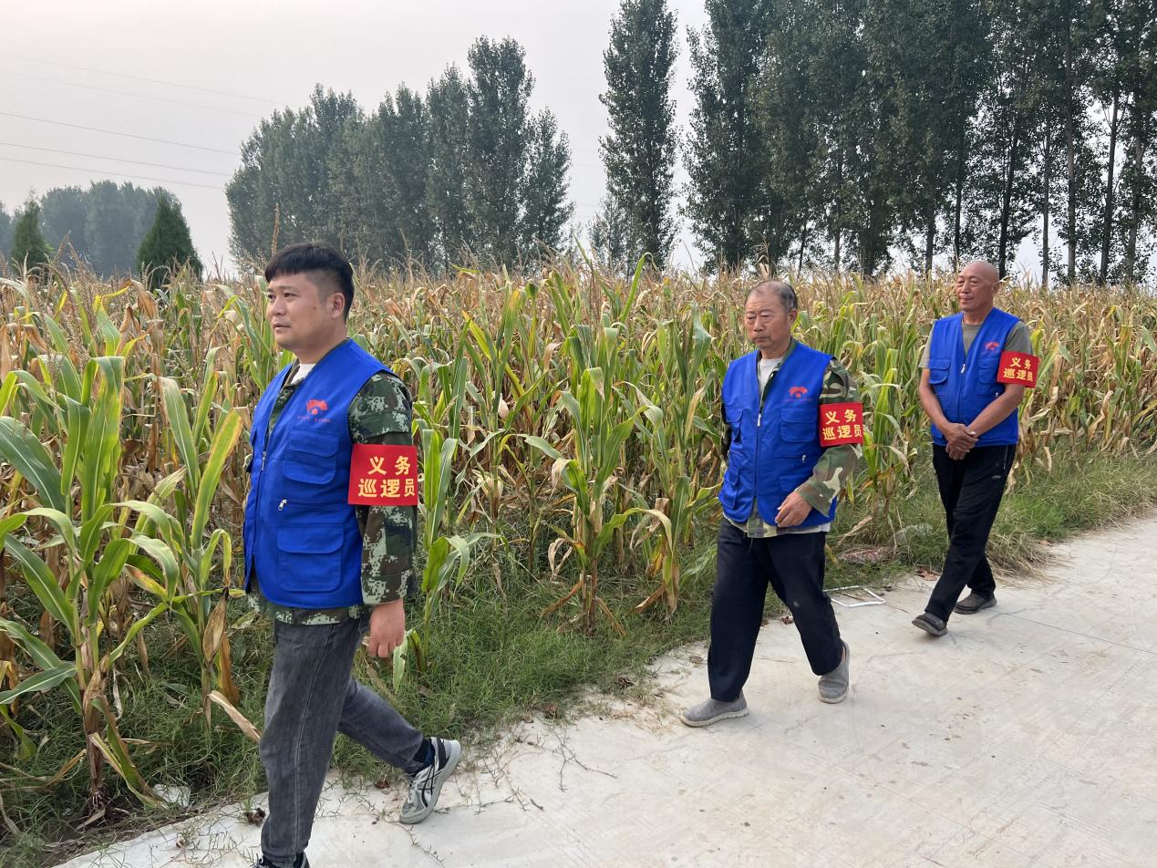 待王街道丨“迷彩绿”搭“志愿蓝”，三秋时节老兵忙