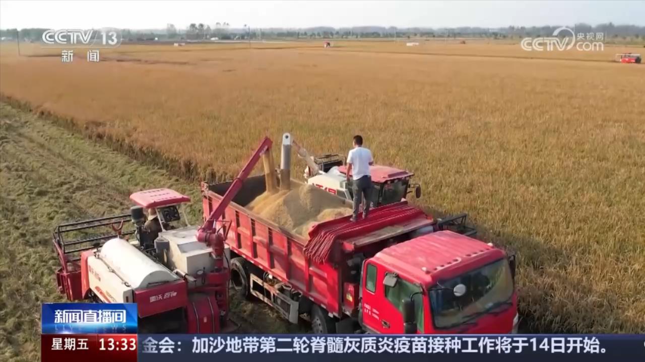央媒看河南 | 关注河南重阳节、水稻收获等内容